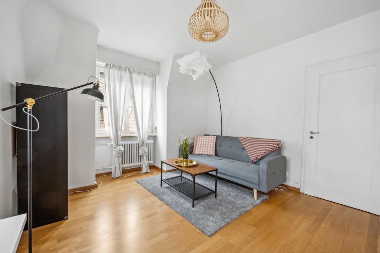 Cozy Apartment In The Heard Of Zurich Sonnegg Экстерьер фото