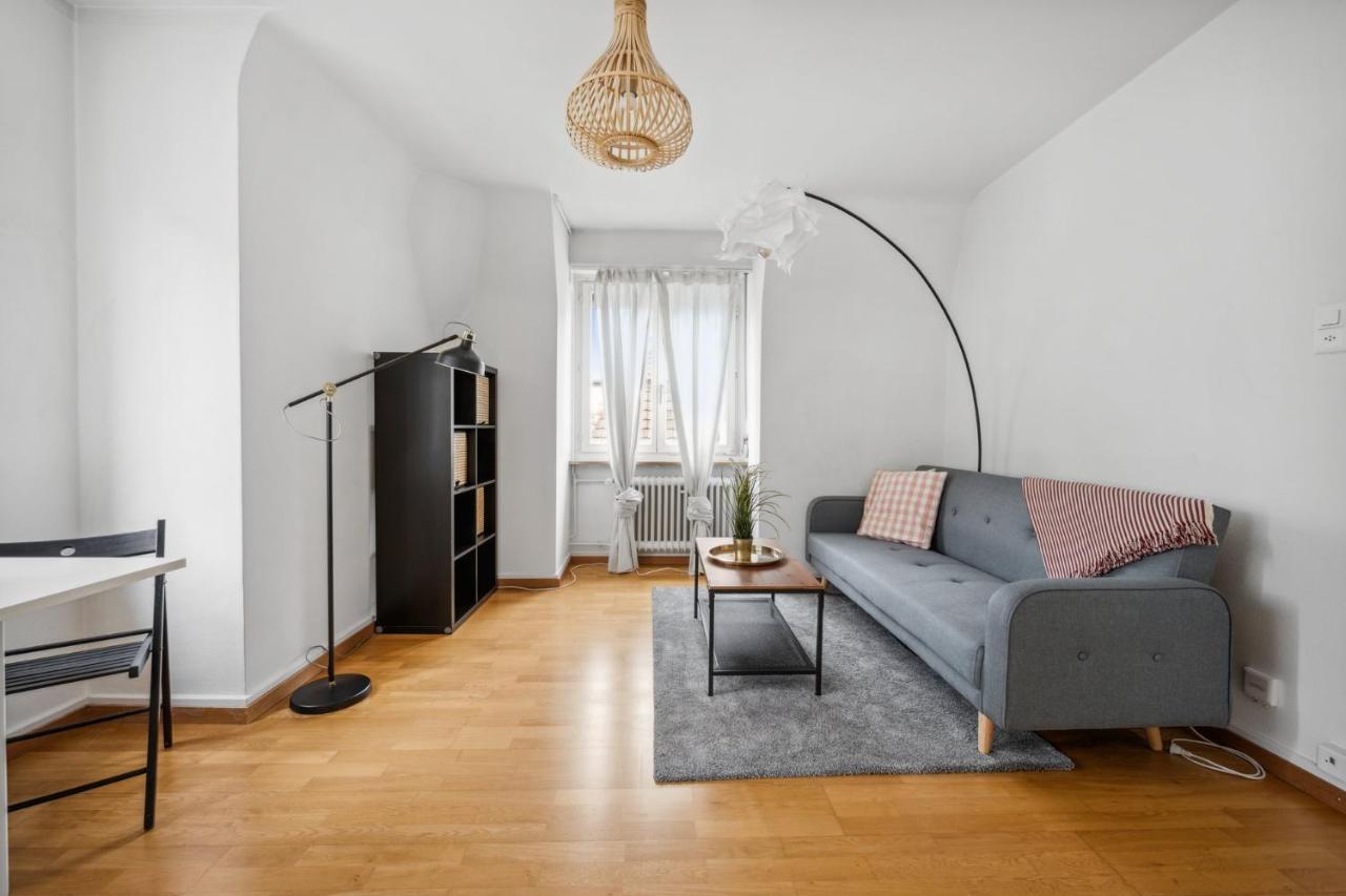 Cozy Apartment In The Heard Of Zurich Sonnegg Экстерьер фото